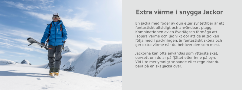 Dun och syntetfodrade jackor Utrustad Maloja OrellM. Dunjacka Herr | Handla fraktfritt